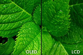 OLED vs LCD