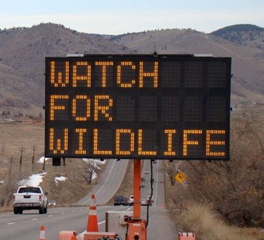 Outdoor LED displays
