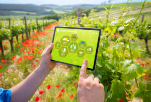 Farmer using smart farming technologies